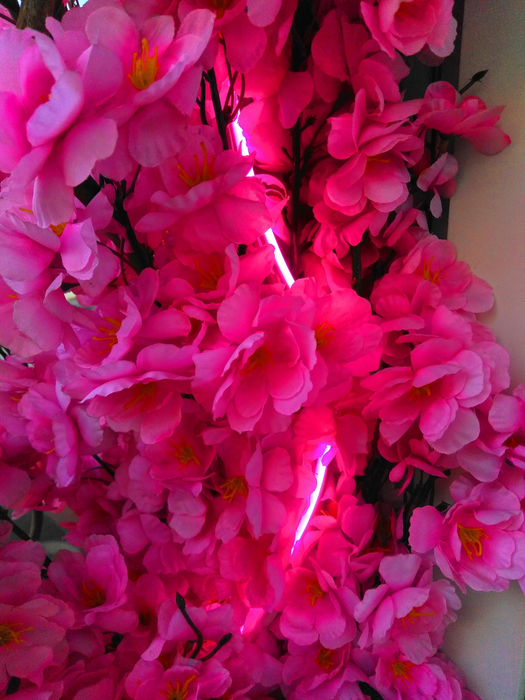 _2023-03-19_144709771 (525x700, 567Kb)