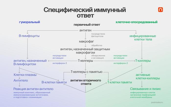 ZeX0eH832qNF2QOoH4sUjsmQKc4xt_uP (700x437, 31Kb)