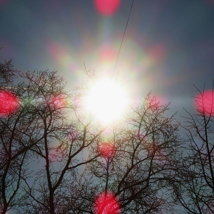 01 (700x700, 109Kb)