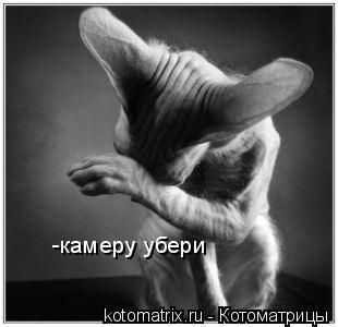 4743317_WA (310x300, 15Kb)