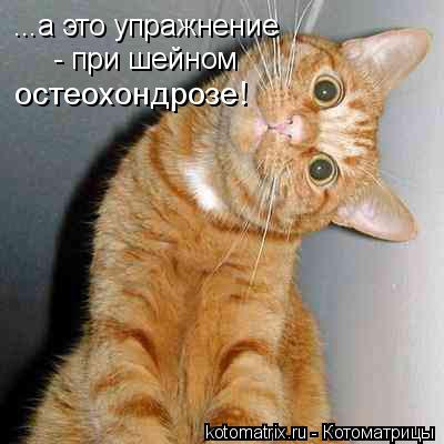4743317_j7 (400x400, 24Kb)