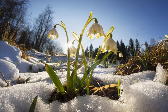_2023-03-25_133346598 (700x466, 499Kb)