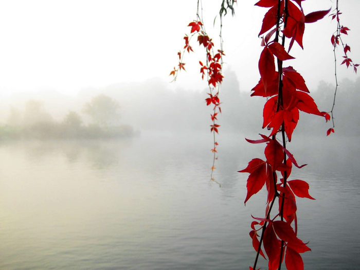 _2023-03-25_134150849 (700x525, 328Kb)