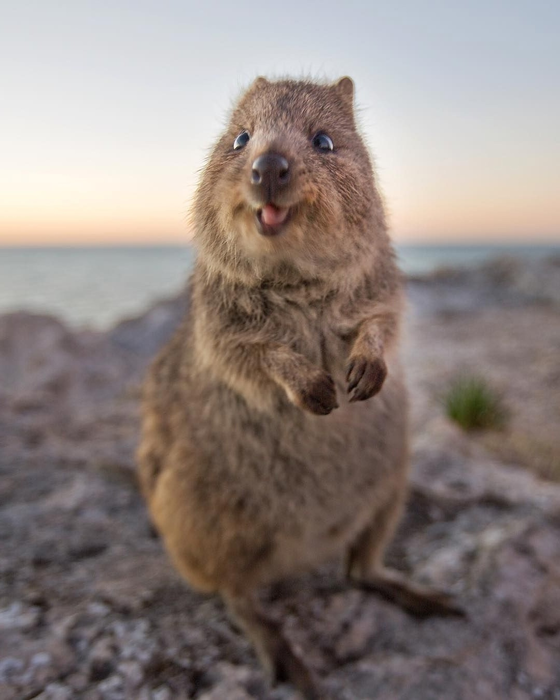 _2023-03-25_201041643 (560x700, 362Kb)