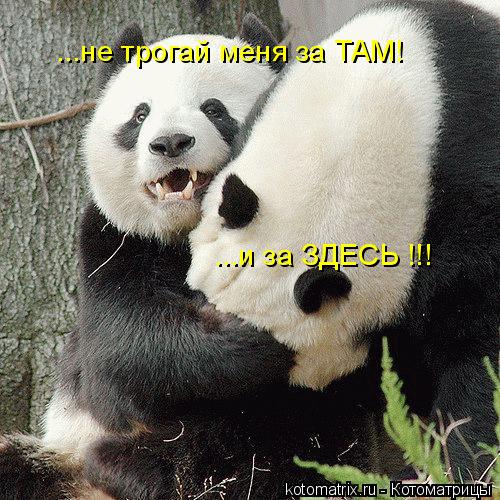 4743317_TG (500x500, 73Kb)