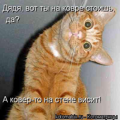 4743317_l (400x400, 25Kb)