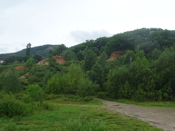 DSC00585 (700x525, 330Kb)