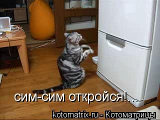 4743317_61 (320x240, 15Kb)