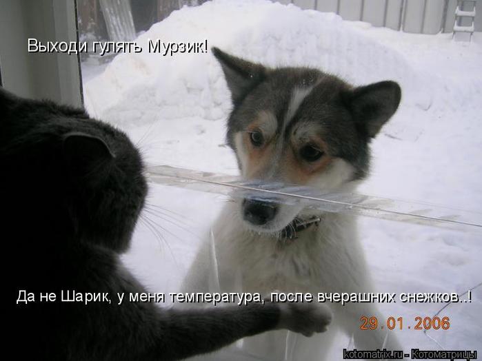 4743317_sXa (700x524, 38Kb)