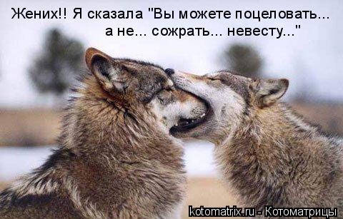 4743317_k3 (480x307, 36Kb)