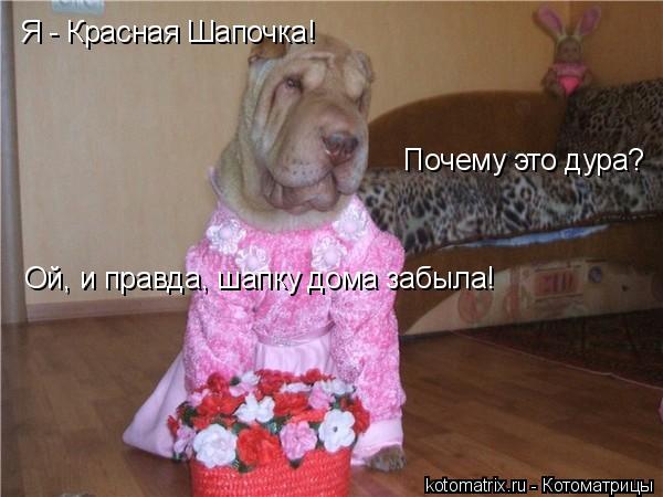 4743317_6n (600x450, 41Kb)