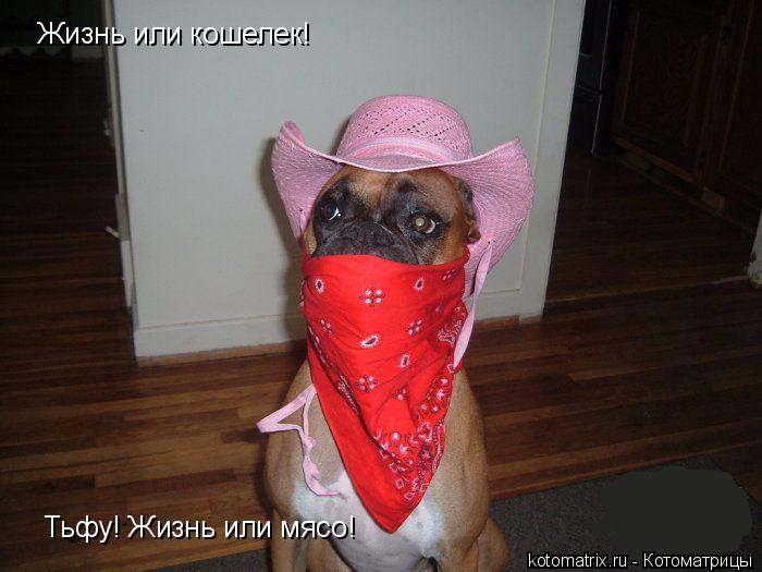 4743317_b9 (700x525, 48Kb)