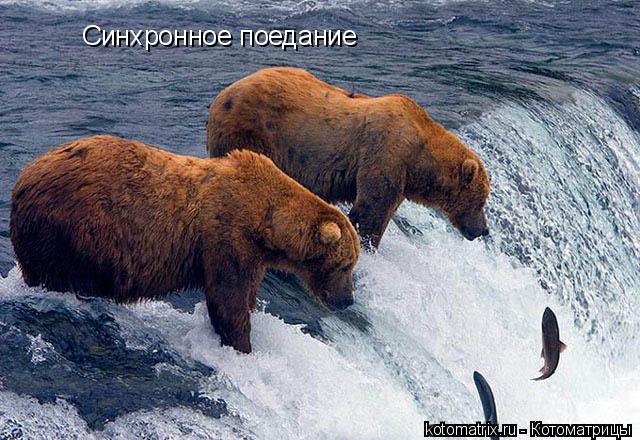 4743317_G (640x440, 73Kb)