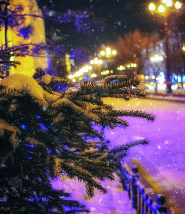 20221224 22104571 (46) (606x700, 474Kb)