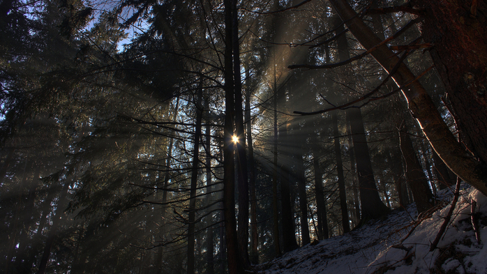 20221224 22104571 (50) (800x470, 419Kb)