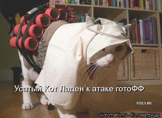 4743317_YK (571x417, 40Kb)