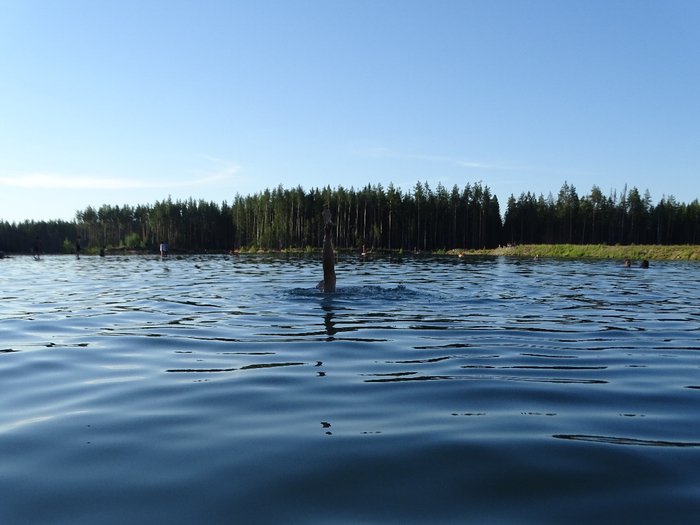 DSC00443 (700x525, 331Kb)