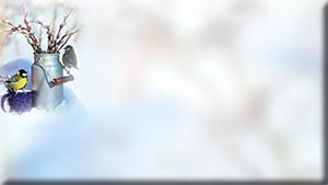  (300x169, 9Kb)