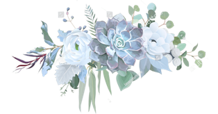 stock-vector-dusty-blue-echeveria-succulent-white-ranunculus-anemone-eucalyptus-silver-greenery-vector-1246329676-transformed (314x164, 62Kb)