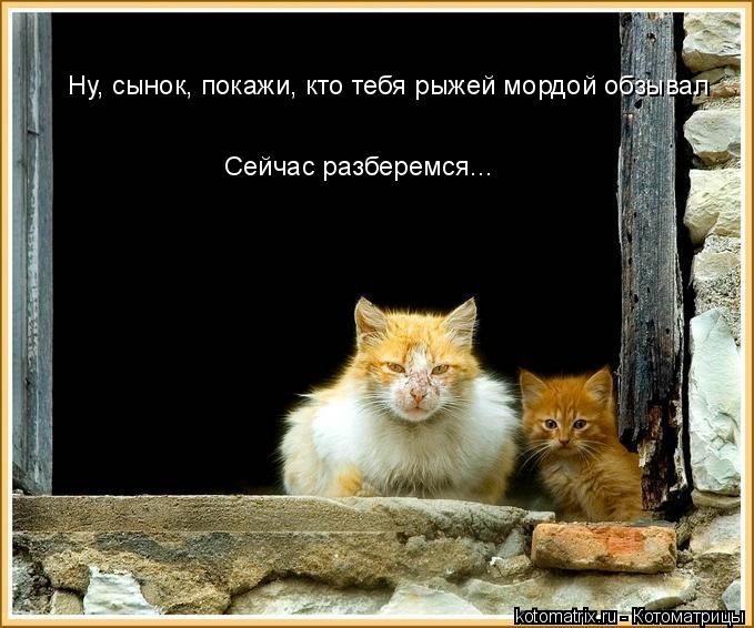 4743317_W (679x566, 70Kb)