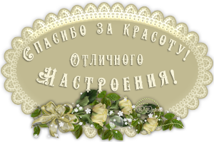 SPAS-ZA-KRASOTU-OTL-NASTROENIY (300x199, 90Kb)