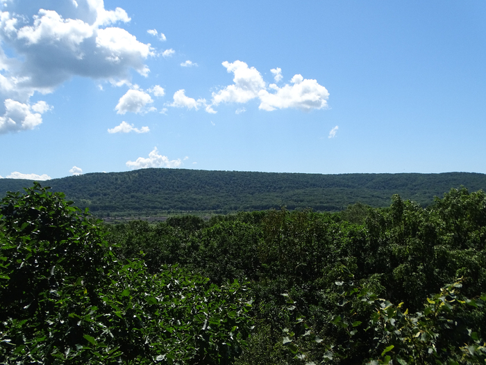 DSC00739 (700x525, 448Kb)