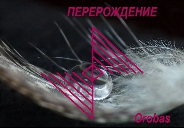 yb0Bgl0337g (604x419, 65Kb)