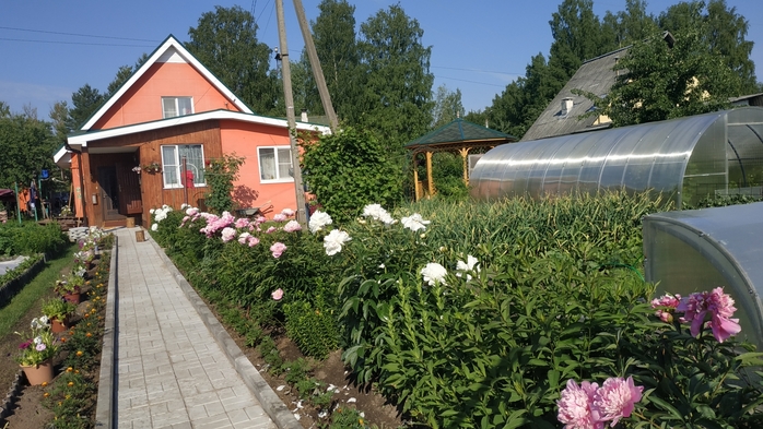 4085248_IMG_20220628_083955 (700x393, 270Kb)
