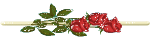 76072656_7902377_12093119_34 (298x78, 7Kb)