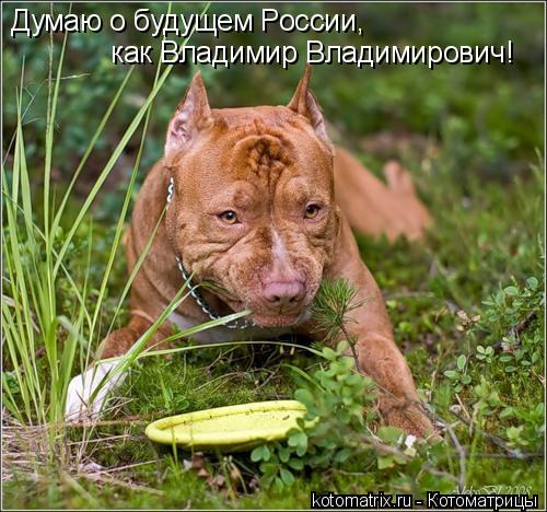 4743317_JX (500x468, 59Kb)