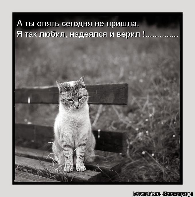 4743317_D7 (679x686, 57Kb)