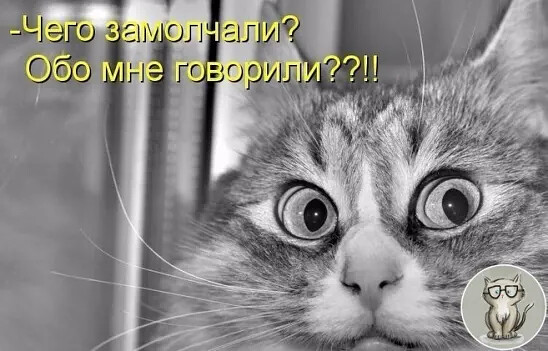 4743317_i_1 (548x351, 59Kb)