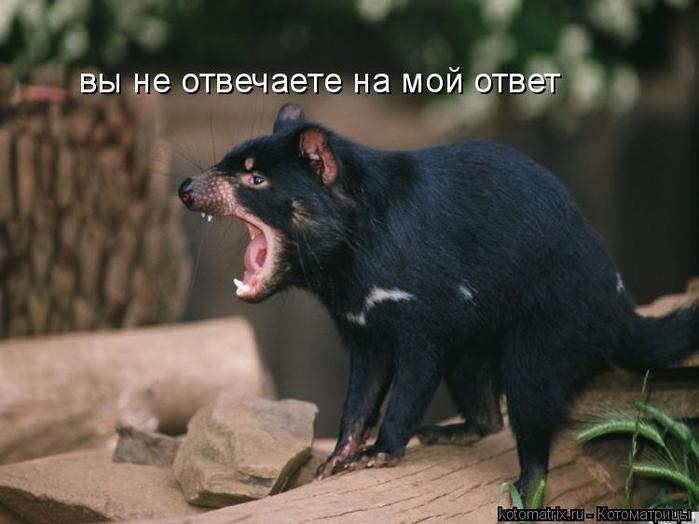 4743317_RO (700x524, 40Kb)
