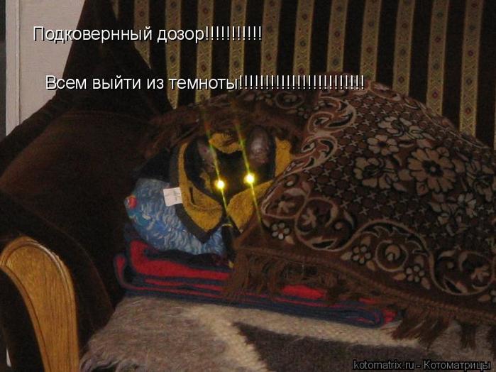 4743317_GdS (700x524, 54Kb)