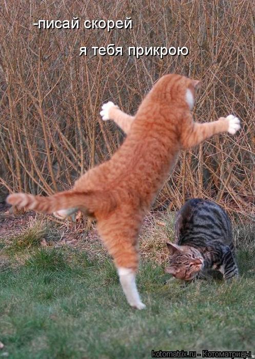 4743317_nIM (497x700, 84Kb)