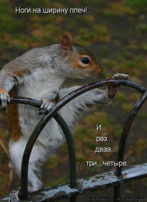 4743317_NO (509x700, 43Kb)