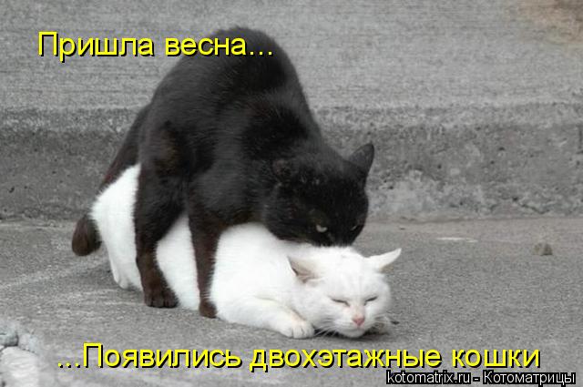 4743317_Me (640x425, 47Kb)