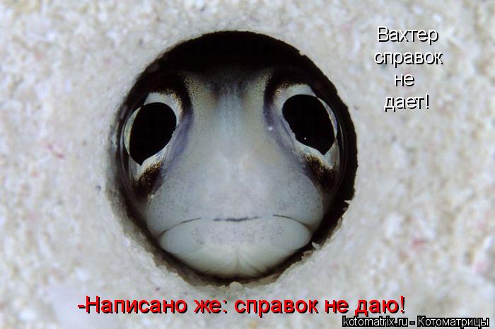 4743317_Pp (700x465, 43Kb)