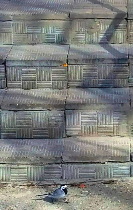 _ (442x700, 248Kb)