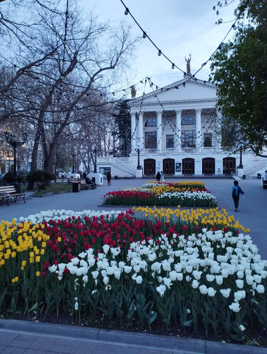 изображение_viber_2023-04-17_21-21-52-848 (527x700, 462Kb)