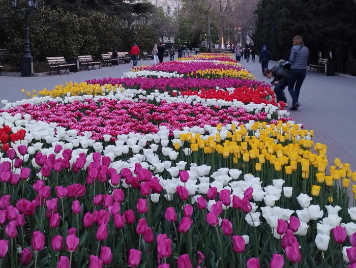 изображение_viber_2023-04-17_21-21-52-960 (700x527, 462Kb)