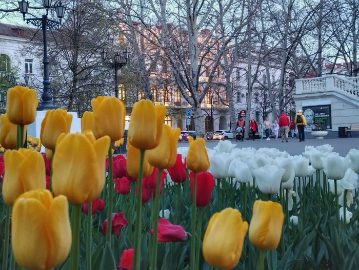 изображение_viber_2023-04-17_21-22-10-074 (700x527, 441Kb)