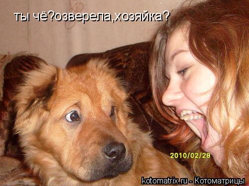 4743317_v7 (500x375, 39Kb)