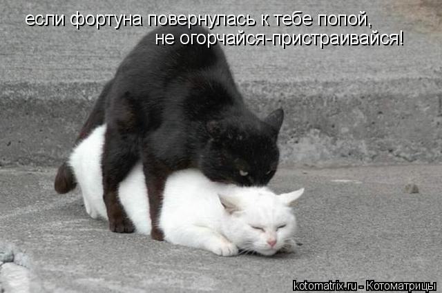 4743317_qj (640x425, 46Kb)