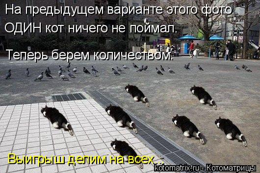 4743317_Bx (530x353, 61Kb)