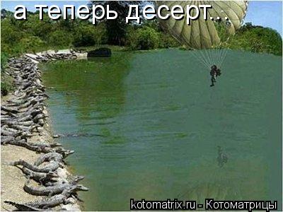 4743317_S (400x300, 28Kb)