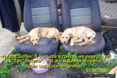 4743317_Qp (500x333, 44Kb)