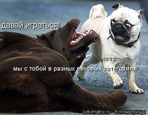 4743317_w (490x381, 43Kb)