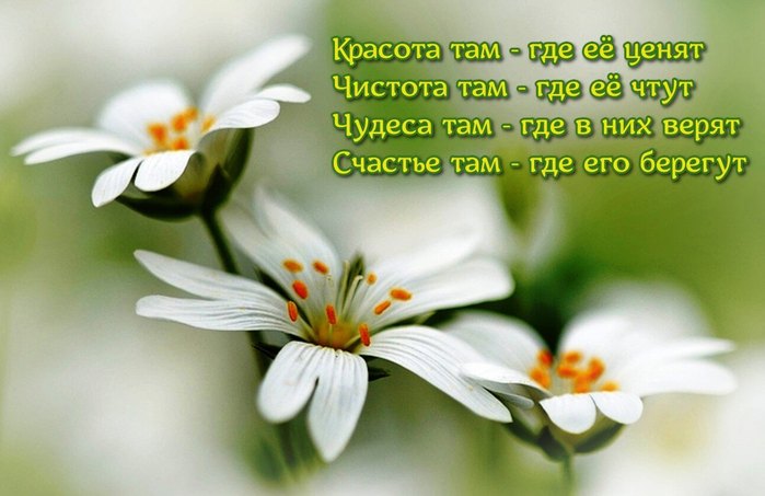  (700x453, 55Kb)