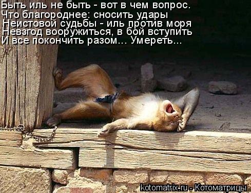 4743317_yZ_1_ (489x376, 52Kb)